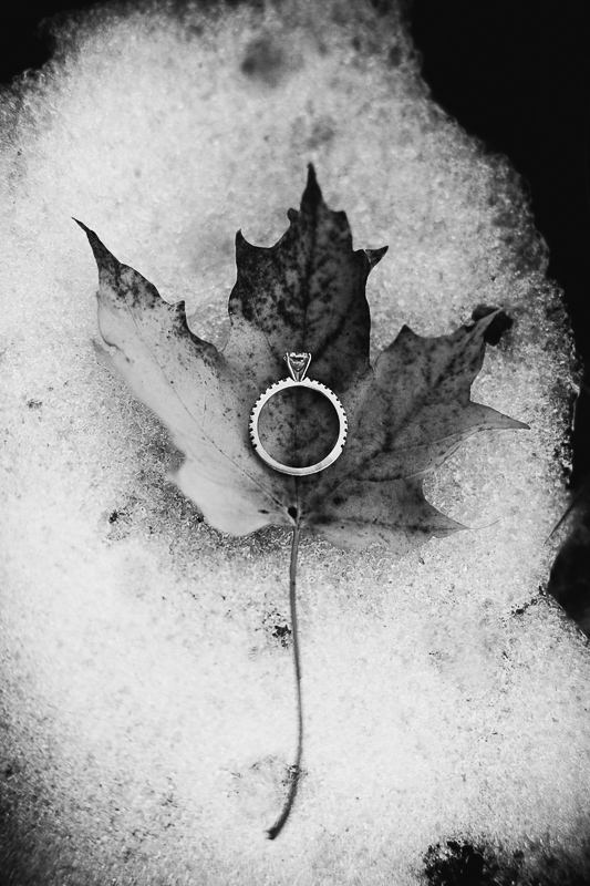 A beautiful engagement ring placed on a maple leaf over fresh snow