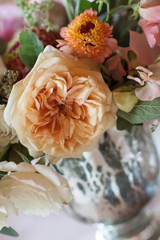 Beautiful peachy garden rose on a table bouquet