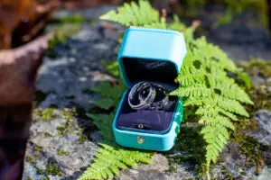 tiffany engagement rings with a fern