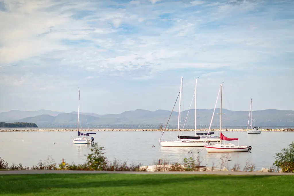 Sailboats on lake Champlain