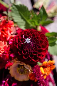 Engagement ring on a red flower
