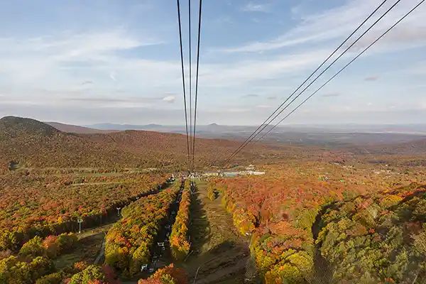 Jay Peak Resort goats visible on the mountain trails during fall wedding day.