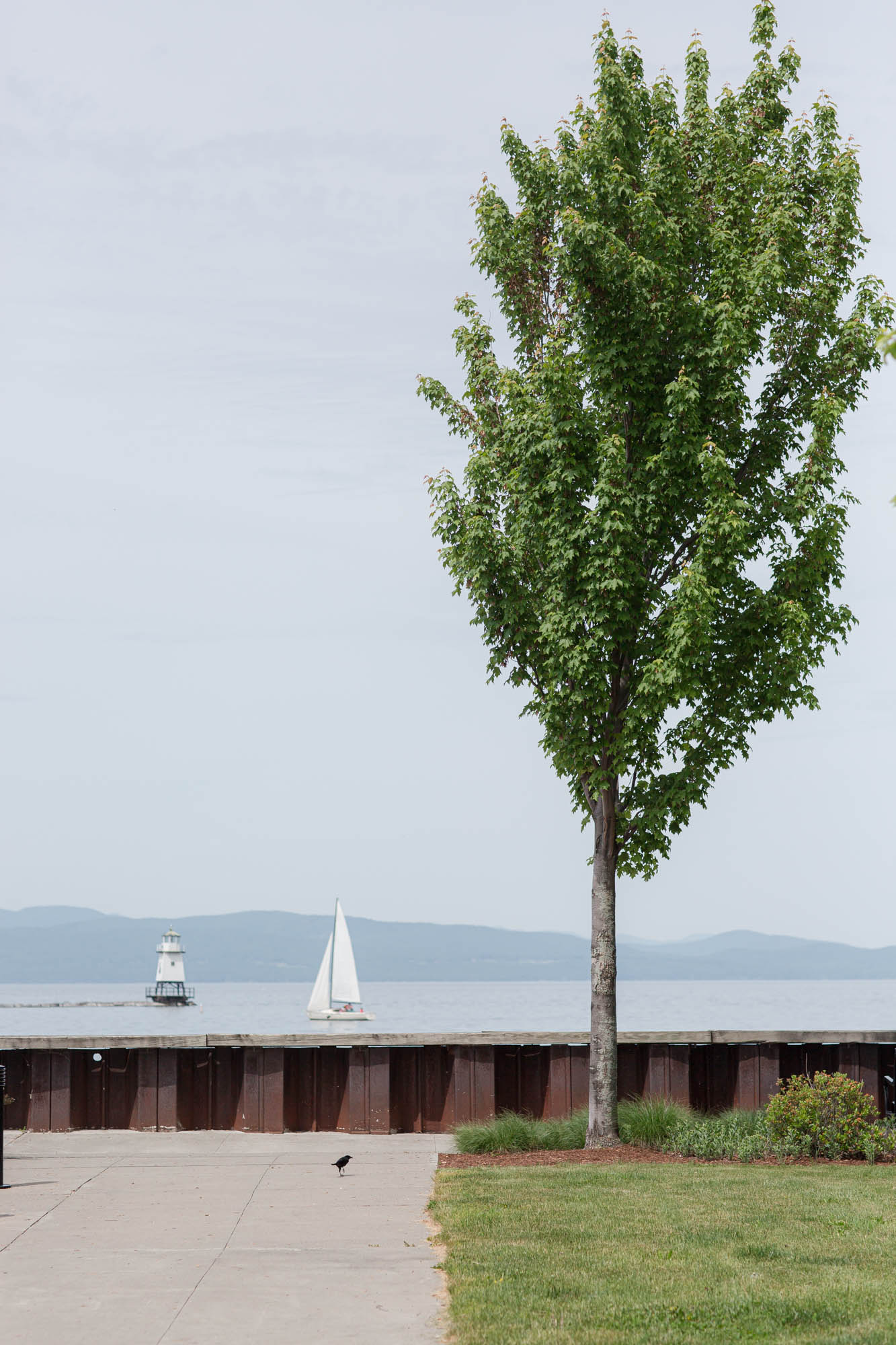 A view of Lake Champlain from the parking lot by the fishing pier