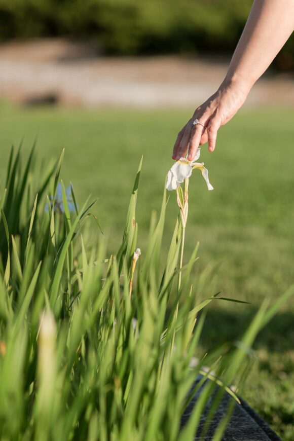 her had touches an iris buy the pond in the Shelburne Farms Inn formal garden, highlighting her beautiful engagement ring